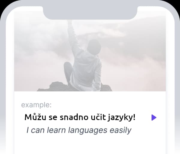 Example Sentences