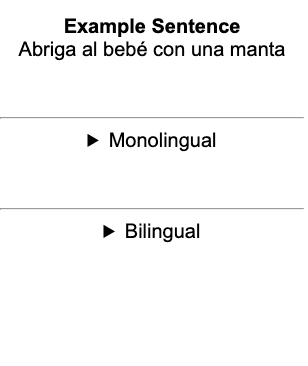 monolingual definition