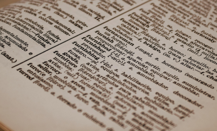 A classic bilingual dictionary in paper format. You can also find them online.